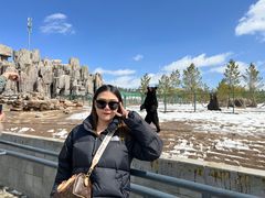 -鄂尔多斯野生动物园