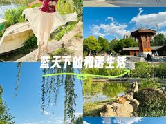 -南翠屏公园