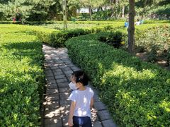 -黄村公园