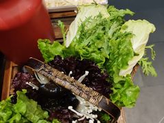 -南门四季铜锅涮肉(左家庄店)