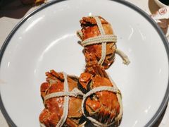 -杨氏青龙虾·羊蝎子(托乐嘉店)