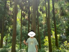 -青城山