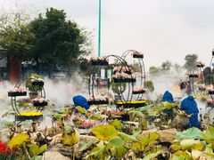 -荷兰花海