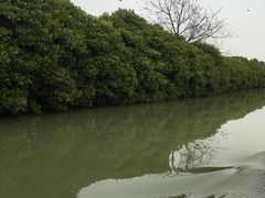 船上风景-大湾区中央湿地公园