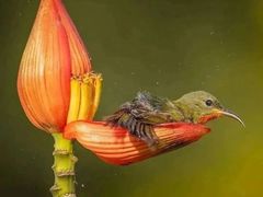 -龙湾潭国家森林公园