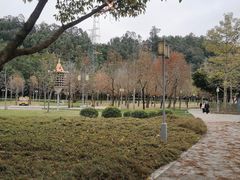 -顺峰山公园
