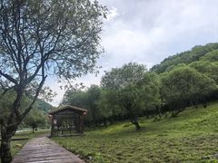 -大水川景区