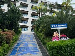 -东澳岛