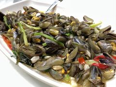 -日日香卤鹅饭店·澄海狮头鹅(澄海店)