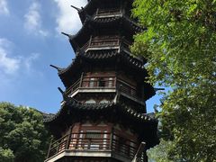 -上海佘山国家森林公园西佘山园