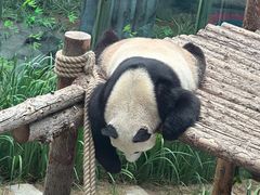 -大连森林动物园