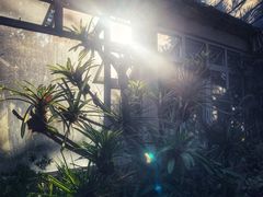 -华南国家植物园-售票处