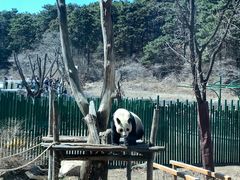 -沈阳森林动物园