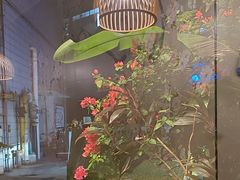 -节节香.成都非遗肥肠粉(总店)