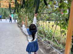 -中国天府农业博览园