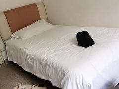 -北京国家会计学院