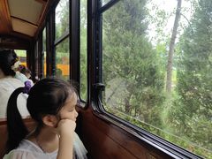 -合肥滨湖国家森林公园