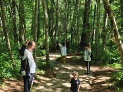 -五营红松林海景区