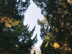 -八大关景区