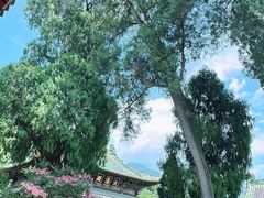 -报恩寺(平武县)