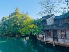 -乌镇西栅景区
