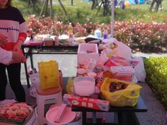 -春花秋色城市公园