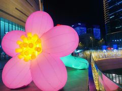 -石家庄万象城