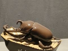 -青田石雕博物馆