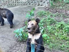-乐和乐都主题乐园