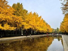 -玲珑塔公园