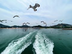 -海驴岛(荣成市)