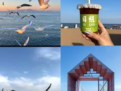 -日照灯塔风景区