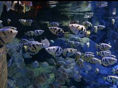 -成都浩海立方海洋公园