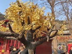 -青岩寺风景区