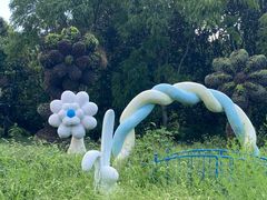 -上海共青森林公园