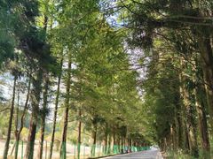 -山王坪喀斯特国家生态公园
