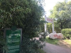 广州园-西安世博园