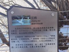 -哈尔滨大剧院
