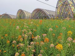 -中国天府农业博览园