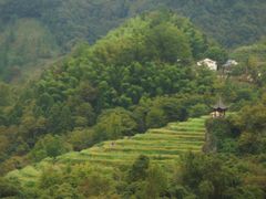 -石台牯牛降景区