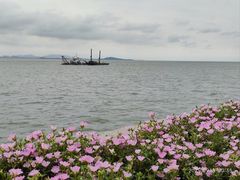 -贡湖湾湿地公园