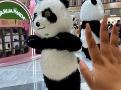 -金鹰国际购物中心(江都店)