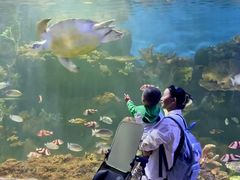 -华夏文旅海洋公园