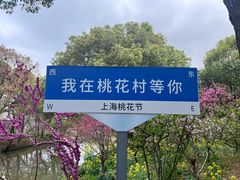 -南汇桃花村