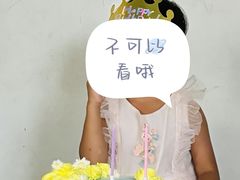 -维尔纳斯·生日蛋糕动物奶油冰淇淋蛋糕(人大店)