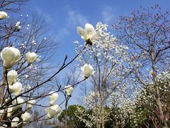 -无锡市市民中心