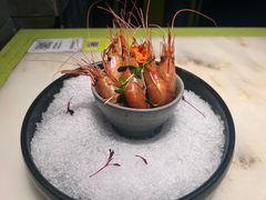 -桂满陇天书(南京德基旗舰店)