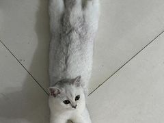 -徐州小院(永宁北路店)