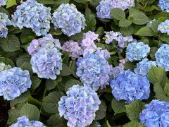 -北京植物园-展览温室