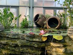 -国家植物园南园